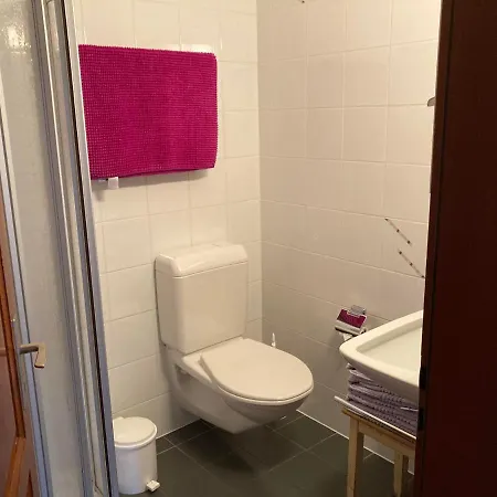 Leiggener Apartment